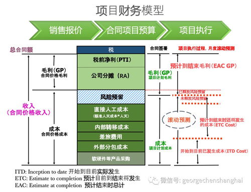 開票無關(guān)型專業(yè)服務(wù)項(xiàng)目公司運(yùn)營管理體系 流程、財(cái)務(wù)管理與IT系統(tǒng)及信息系統(tǒng)運(yùn)維服務(wù)